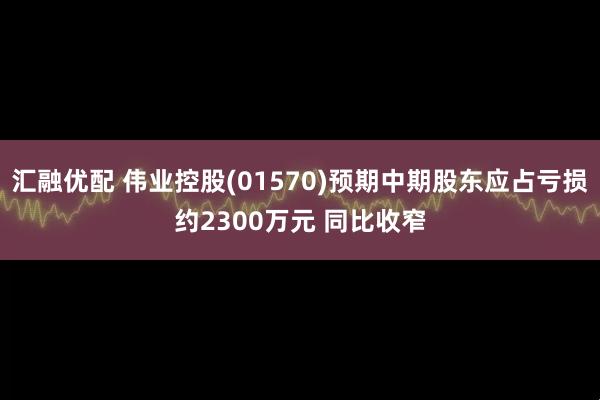 汇融优配 伟业控股(01570)预期中期股东应占亏损约2300万元 同比收窄