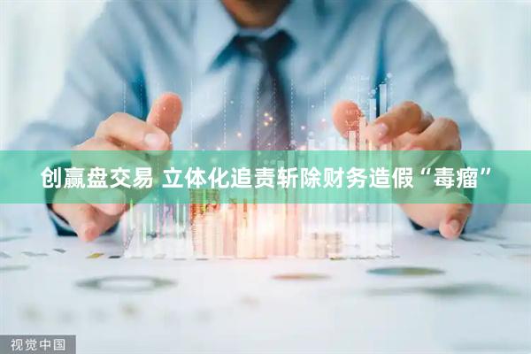 创赢盘交易 立体化追责斩除财务造假“毒瘤”